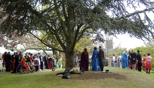 Ceremony_under_oak